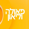 כתבה